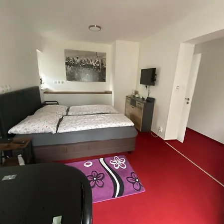 Homestay U Hanky Zdiby